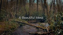 A Beautiful Mess - Improving Brook Trout Habitat in the Southeast