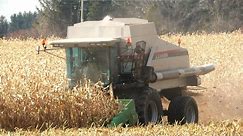 Corn Harvest 2023 | Gleaner R52 Combine Harvesting Corn | Ontario, Canada