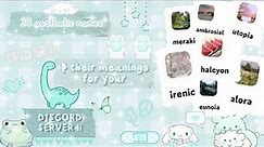 ♡ ₊˚⊹ 20 aesthetic names for your discord server | discord tutorial 🩵🧚🏻