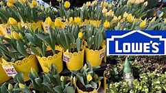 🌼 🌻 ✿ Lowes Garden Center New Annuals And Perennials 2024 | Shop With Me 🌸 ❀ ✾ 💐 🌷