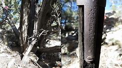 132-year-old rifle found propped against tree