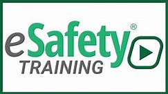eSafety Training System Overview