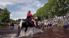 Travellers show off their impressive horses during annual Appleby fair - video Dailymotion