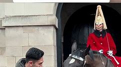 The Gentleman's Encounter with the Horse Guard | Polite but Unexpected