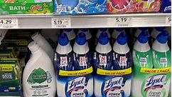 MUST HAVE HOUSEHOLD CLEANING SUPPLIES 🧹🧼🧽 FROM PUBLIX | Peach McIntyre