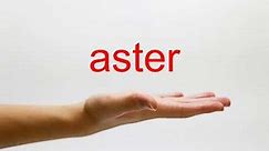 How to Pronounce aster - American English