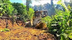 Incredible Project Caterpillar D6R XL Dozer Widening Forest Road for People's Plantations