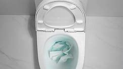 Abruzzo 1-Piece Toilet 1.1 GPF/1.6 GPF Dual Flush Elongated Toilet 1000 Gram Map Flushing Score Toilet in Glossy White 23T01-GW