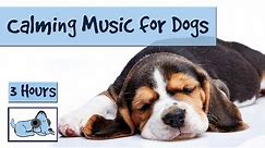 3 and a Half Hours of Calming Music for Dogs!