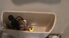 Troubleshooting a leaking toilet