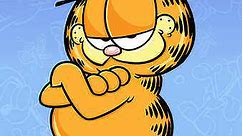 Garfield and Friends: Season 2 Episode 12 Robodie/Video Victim