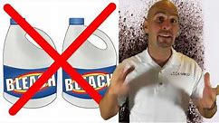 Black Mold - How To Kill Toxic Mold In Under 5 Mins!