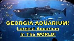 Georgia Aquarium - #1 Largest Aquarium in The World!! - (Full Tour)
