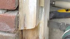 Wood Repair Transformations