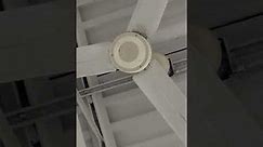 industrial ceiling fans at Home Depot HD ( Dayton 16 Melary)