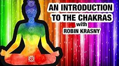 Beginners Guide to Chakras - Everything You Need to Know About Chakras