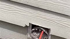 DRYER VENT CLEANING ✅️15 YEARS EXPERIENCE ✅️FULLY INSURED ✅️UPFRONT AFFORDABLE PRICES MMI Home Improvement Pro | MMI Home Improvement Pro