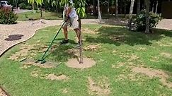 Using The Landzie Lawn Tool To Spread Sand! #Lawn #lawncare #sand | C&C Lawn & Landscaping