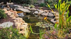 How to Build a Pond in Your Yard (It's Not as Easy as Just Digging a Hole)
