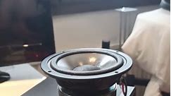 Broken speaker, loud popping noise when turned on