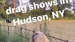 Hudson, NY drag shows: where queens use mosquito repellent as setting spray, and death drops involve plastic lawn chairs.Take the poll: