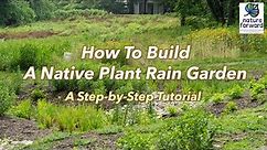 How to Build a Native Plant Rain Garden - A Step-by-Step Tutorial