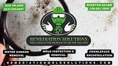 When Mold is the Problem, We are the Solution.