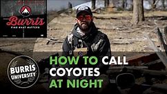 How to Call Coyotes at Night
