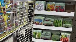 Screaming deal on seeds at Menards. #Gardening #GardeningFrugal #GardeningTok #GardeningTikTok #VegetableGardening