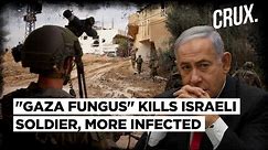 Iraq Slams US Strikes, IDF Soldier Dead Due To “Dangerous Fungus” In Gaza, Lapid Attacks Netanyahu