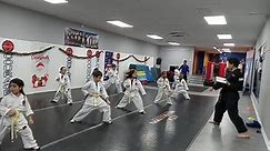 Karate Academy - Senpei Elian reviewing White Belt Basics...