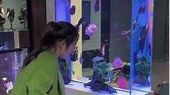 Is this fish tank suitable for home decoration? #aquarium #aquariums #fishtank #aquariumfish #fishtankdiy #fish #aquariumlandscape #fishfarming | Fish Tank