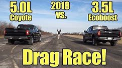 2018 Ford F150 3.5L Ecoboost vs 5.0L V8 Coyote Drag Race! It's Kunes Country Prize Fights!