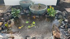 Small pond remodel before and after featuring aquascape spillway bowls! | Matt Page