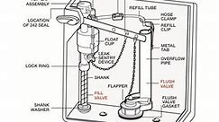 Toilet Parts Diagram - DIY Repairs