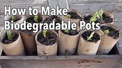 How to Make Biodegradable Plant Pots - Homemade Seed Starting Pots