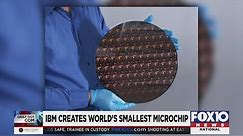 Daily Dot Com: IBM creates world's smallest microchip