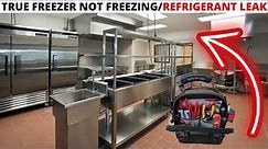 HVACR Service Call: TRUE Freezer Not Freezing(Commercial Freezer Not Cooling)Refrigerant Leak Repair