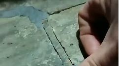 @skatediy shared this great video on how to fill the grout in your pool coping of it breaks out! Thanks @dellytronic! .. Thumb trowel then spit on your finger in this coping repair tutorial from @dellytronic. "Epoxy putty - Concrete coping repair (See also: curb repair). This shit's the shit! Best shit out there for repairing that shit.. No shit" #delside #skateDIY #buildDIYtips Reposted from @skatediy #coping #concretedisciples #repair #skatediy | Concrete Disciples