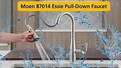 Moen 87014 Essie Pull-Down Faucet: Top Features & HONEST Review |