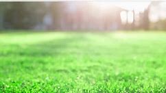 Texts From Your Lawn: TruGreen Lawn Care Plans