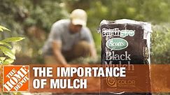 The Importance of Mulch | Mulching Your Yard | The Home Depot