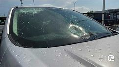 Hail damage in Davison