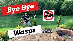 Bye Bye Wasps! How To Repel Them With A Simple Solution!