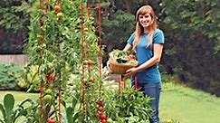 Tomato Ladder - Stacking Tomato Trellis | Gardeners.com