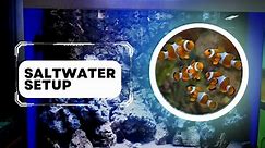 Saltwater Fish Tank setup- Part 1| Blessings Aquarium