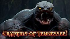 Top 5 Cryptids of Tennessee!