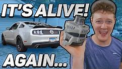 Replacing the Mustang's alternator! | "Check Charging System" Fix