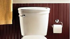 The Home Depot - Looking to save water? The Korky Toilet...
