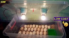 DIY Homemade Incubator For Chicken Eggs || Chicken Egg Incubator (Hatching Eggs)